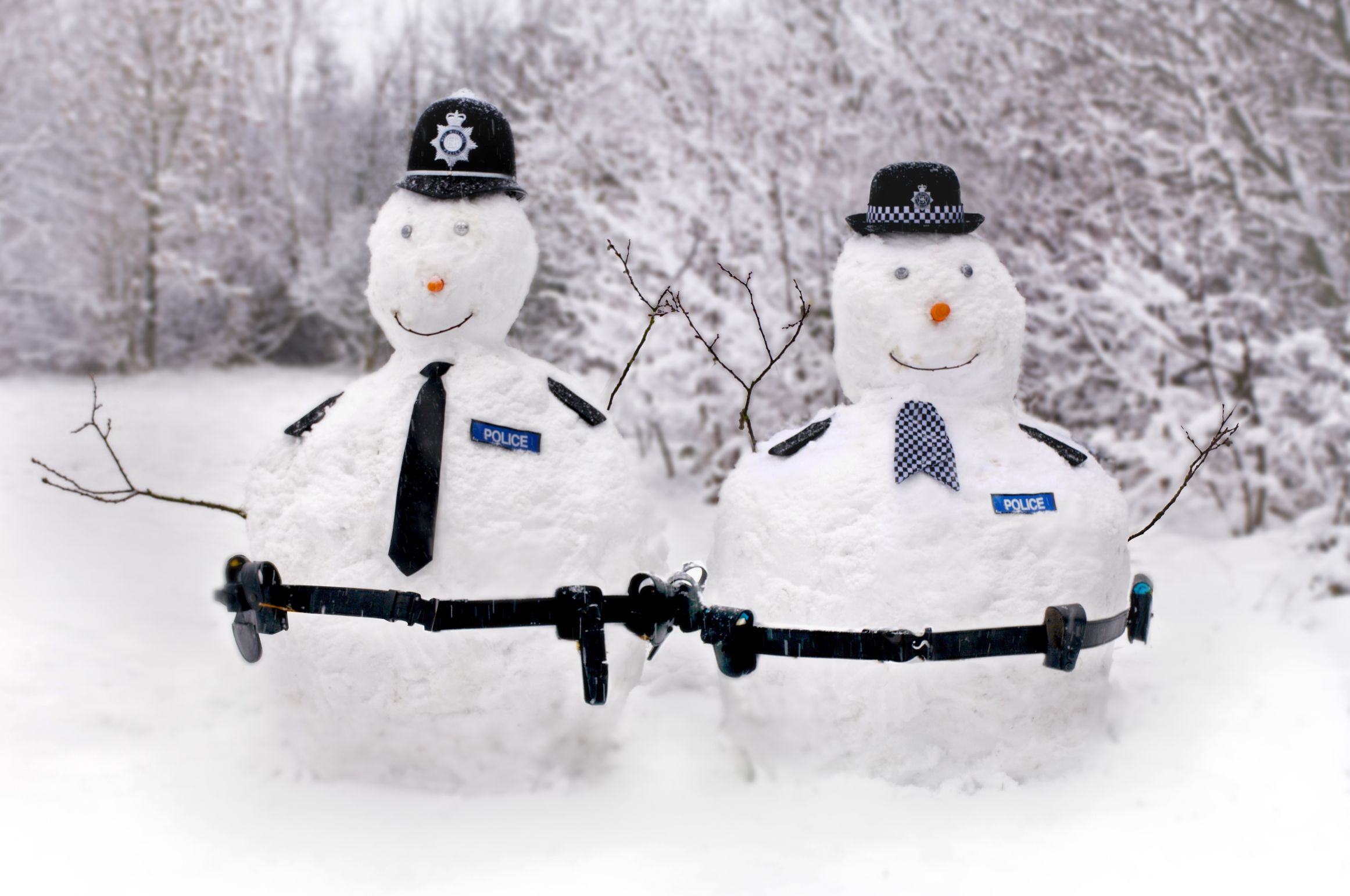 police snowmen Blank Meme Template