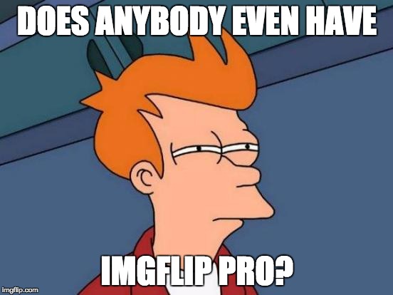Futurama Fry Meme | DOES ANYBODY EVEN HAVE; IMGFLIP PRO? | image tagged in memes,futurama fry | made w/ Imgflip meme maker