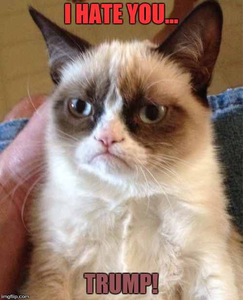 Grumpy Cat Meme | I HATE YOU... TRUMP! | image tagged in memes,grumpy cat | made w/ Imgflip meme maker