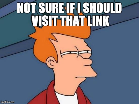Futurama Fry Meme | NOT SURE IF I SHOULD VISIT THAT LINK | image tagged in memes,futurama fry | made w/ Imgflip meme maker