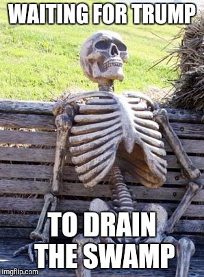Waiting Skeleton Meme | WAITING FOR TRUMP; TO DRAIN THE SWAMP | image tagged in memes,waiting skeleton | made w/ Imgflip meme maker