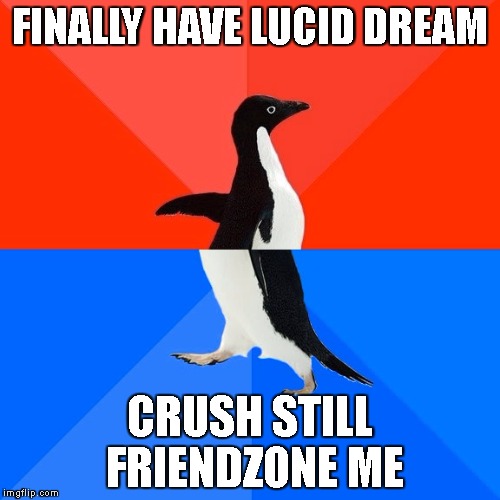 Socially Awesome Awkward Penguin Meme | FINALLY HAVE LUCID DREAM; CRUSH STILL FRIENDZONE ME | image tagged in memes,socially awesome awkward penguin | made w/ Imgflip meme maker