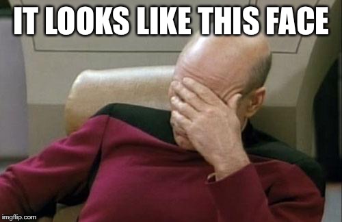 Captain Picard Facepalm Meme | IT LOOKS LIKE THIS FACE | image tagged in memes,captain picard facepalm | made w/ Imgflip meme maker