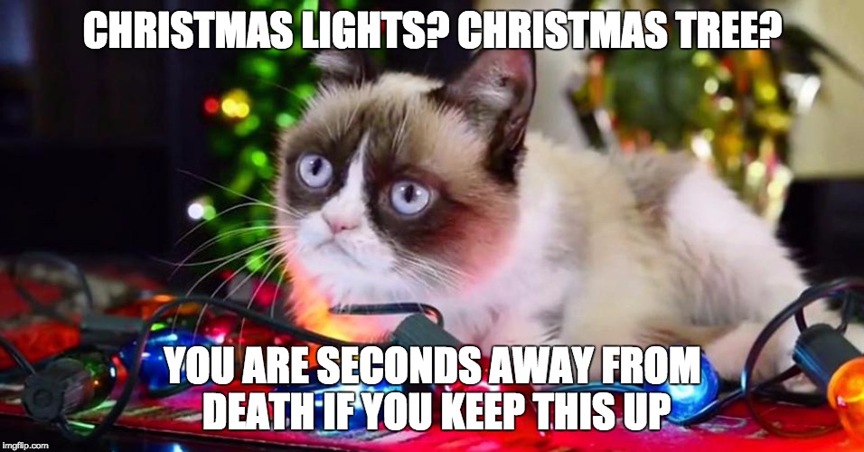 Grumpy Cat Christmas Lights | CHRISTMAS LIGHTS? CHRISTMAS TREE? YOU ARE SECONDS AWAY FROM DEATH IF YOU KEEP THIS UP | image tagged in grumpy cat christmas lights | made w/ Imgflip meme maker
