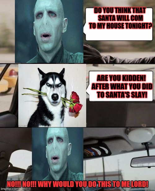 The Voldermort Driving | DO YOU THINK THAT SANTA WILL COM TO MY HOUSE TONIGHT? ARE YOU KIDDEN! AFTER WHAT YOU DID TO SANTA'S SLAY! NO!!! NO!!! WHY WOULD YOU DO THIS TO ME LORD! | image tagged in grumpy dog,the voldermort driving | made w/ Imgflip meme maker