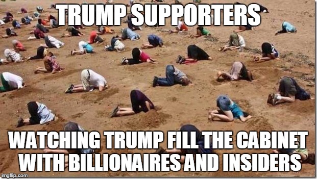 Oh I'm sorry, is this your safe space Trumpetters? | TRUMP SUPPORTERS; WATCHING TRUMP FILL THE CABINET WITH BILLIONAIRES AND INSIDERS | image tagged in head in sand | made w/ Imgflip meme maker