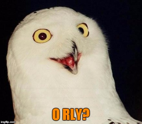 O RLY? | made w/ Imgflip meme maker