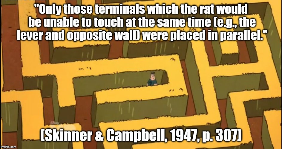 Lost in a Corn Maze | "Only those terminals which the rat would be unable to touch at the same time (e.g., the lever and opposite wall) were placed in parallel."; (Skinner & Campbell, 1947, p. 307) | image tagged in lost in a corn maze | made w/ Imgflip meme maker