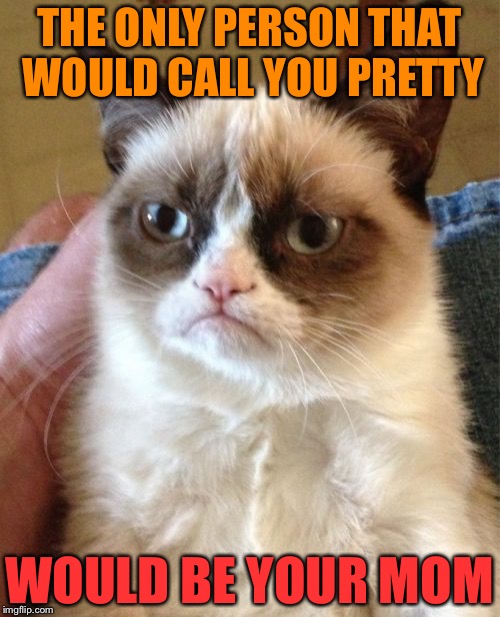 Maybe | THE ONLY PERSON THAT WOULD CALL YOU PRETTY; WOULD BE YOUR MOM | image tagged in memes,grumpy cat | made w/ Imgflip meme maker