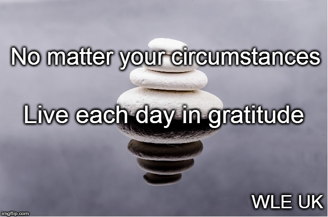 Live in Gratitude | No matter your circumstances; Live each day in gratitude; WLE UK | image tagged in gratitude,zen,thankful,appreciation,peace,meditation | made w/ Imgflip meme maker