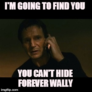 Liam Neeson Taken Meme | I'M GOING TO FIND YOU; YOU CAN'T HIDE FOREVER WALLY | image tagged in memes,liam neeson taken | made w/ Imgflip meme maker