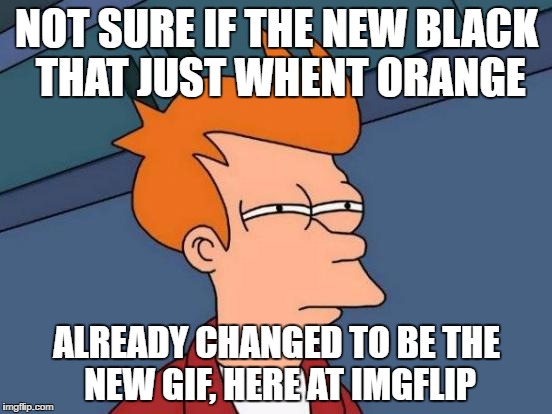 Futurama Fry Meme | NOT SURE IF THE NEW BLACK THAT JUST WHENT ORANGE; ALREADY CHANGED TO BE THE NEW GIF, HERE AT IMGFLIP | image tagged in memes,futurama fry | made w/ Imgflip meme maker