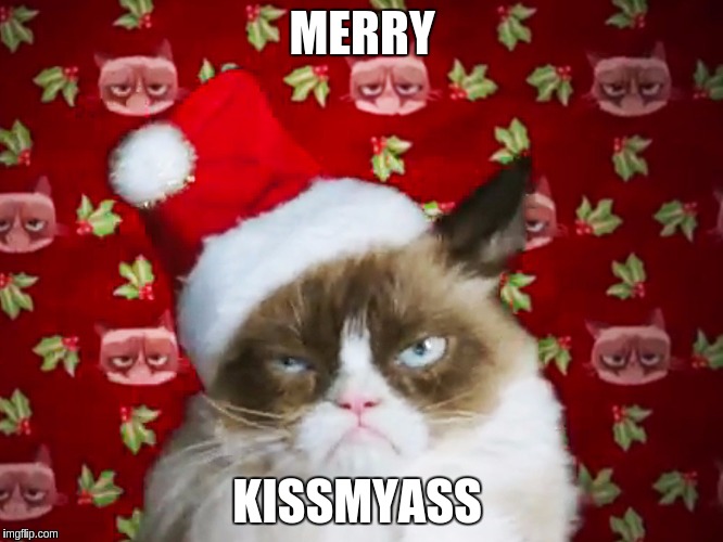 Grumpy Cat Christmas | MERRY; KISSMYASS | image tagged in grumpy cat christmas | made w/ Imgflip meme maker