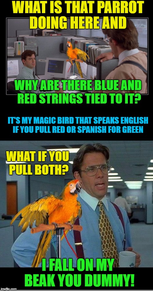 Bill Lumberg  and Peter Gibbons Bond Finally | WHAT IS THAT PARROT DOING HERE AND; WHY ARE THERE BLUE AND RED STRINGS TIED TO IT? IT'S MY MAGIC BIRD THAT SPEAKS ENGLISH IF YOU PULL RED OR SPANISH FOR GREEN; WHAT IF YOU PULL BOTH? I FALL ON MY BEAK YOU DUMMY! | image tagged in memes,office space,funny,parrot | made w/ Imgflip meme maker