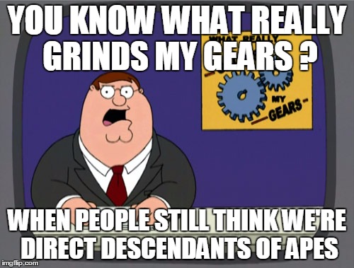 Peter Griffin News | YOU KNOW WHAT REALLY GRINDS MY GEARS ? WHEN PEOPLE STILL THINK WE'RE DIRECT DESCENDANTS OF APES | image tagged in memes,peter griffin news | made w/ Imgflip meme maker