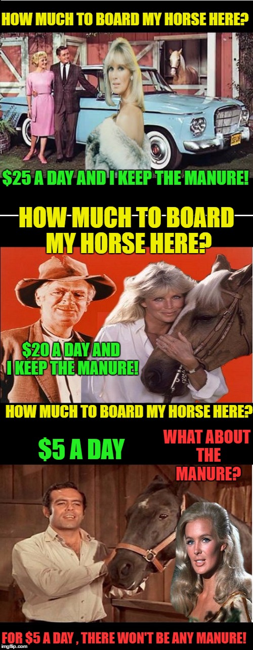 Horse Trading with the Pros | HOW MUCH TO BOARD MY HORSE HERE? $25 A DAY AND I KEEP THE MANURE! HOW MUCH TO BOARD MY HORSE HERE? $20 A DAY AND I KEEP THE MANURE! HOW MUCH TO BOARD MY HORSE HERE? $5 A DAY; WHAT ABOUT THE MANURE? FOR $5 A DAY , THERE WON'T BE ANY MANURE! | image tagged in memes,jed,linda evans,mr ed,funny | made w/ Imgflip meme maker