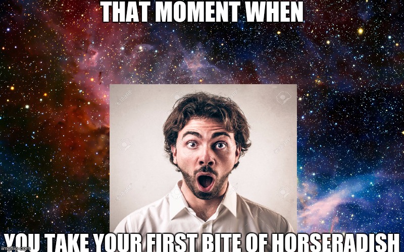 you see the secrets of the universe | THAT MOMENT WHEN; YOU TAKE YOUR FIRST BITE OF HORSERADISH | image tagged in slowstack | made w/ Imgflip meme maker