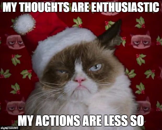 Grumpy Cat Christmas | MY THOUGHTS ARE ENTHUSIASTIC; MY ACTIONS ARE LESS SO | image tagged in grumpy cat christmas | made w/ Imgflip meme maker