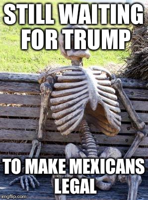 Waiting Skeleton | STILL WAITING FOR TRUMP; TO MAKE MEXICANS LEGAL | image tagged in memes,waiting skeleton | made w/ Imgflip meme maker