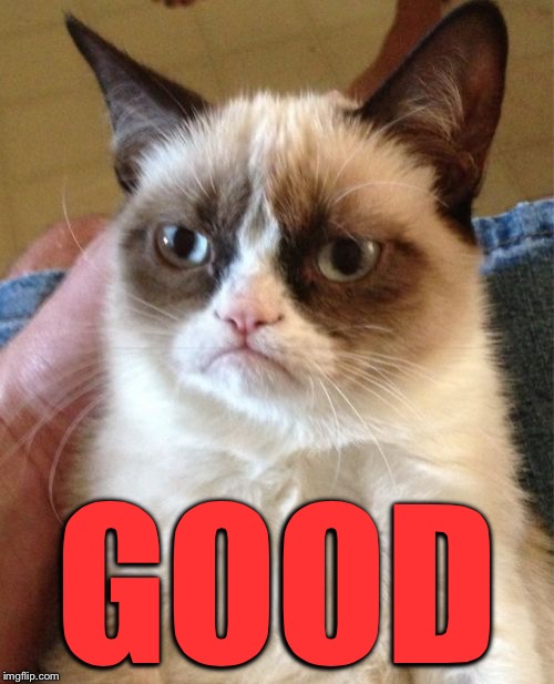 Grumpy Cat Meme | GOOD | image tagged in memes,grumpy cat | made w/ Imgflip meme maker