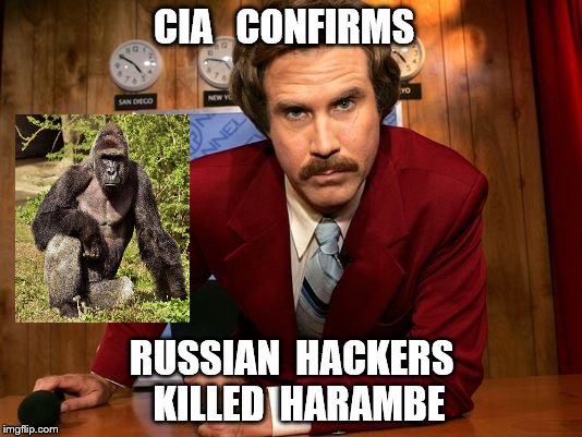 Ron Burgundy news | CIA   CONFIRMS; RUSSIAN  HACKERS  KILLED  HARAMBE | image tagged in ron burgundy news | made w/ Imgflip meme maker
