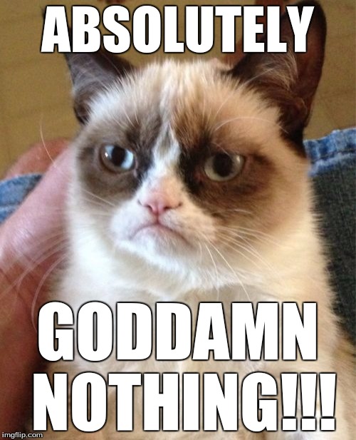 Grumpy Cat Meme | ABSOLUTELY GO***MN NOTHING!!! | image tagged in memes,grumpy cat | made w/ Imgflip meme maker