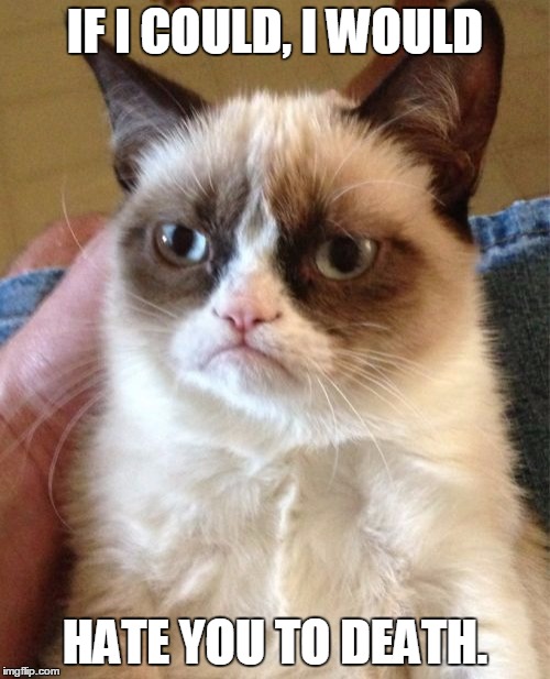 Grumpy Cat | IF I COULD, I WOULD; HATE YOU TO DEATH. | image tagged in memes,grumpy cat | made w/ Imgflip meme maker