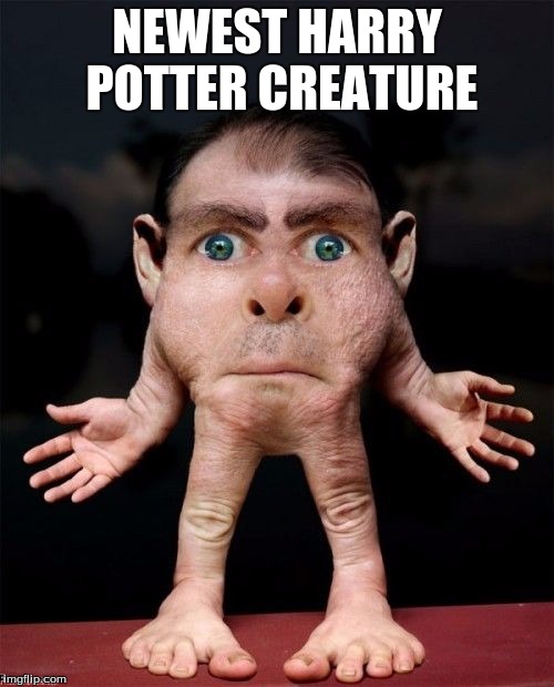 NEWEST HARRY POTTER CREATURE | image tagged in jk rowling | made w/ Imgflip meme maker
