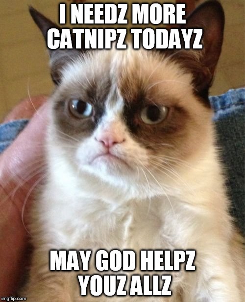 Grumpy Cat | I NEEDZ MORE CATNIPZ TODAYZ; MAY GOD HELPZ YOUZ ALLZ | image tagged in memes,grumpy cat | made w/ Imgflip meme maker