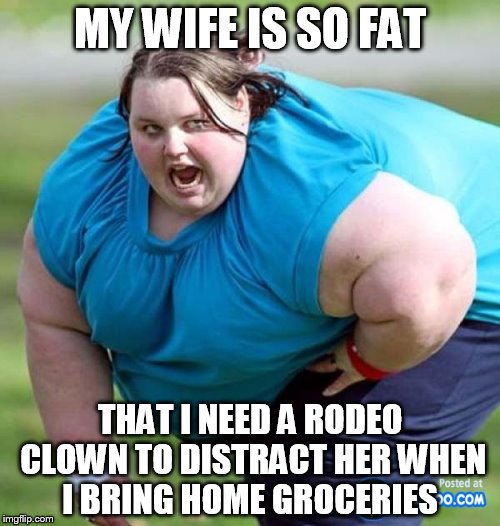 Fat wife | MY WIFE IS SO FAT; THAT I NEED A RODEO CLOWN TO DISTRACT HER WHEN I BRING HOME GROCERIES | image tagged in fatwife | made w/ Imgflip meme maker