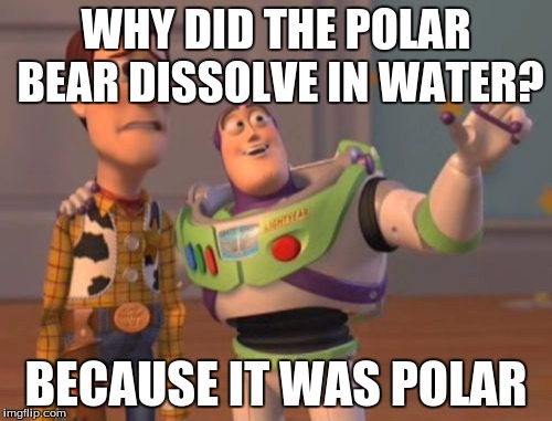 X, X Everywhere | WHY DID THE POLAR BEAR DISSOLVE IN WATER? BECAUSE IT WAS POLAR | image tagged in memes,x x everywhere | made w/ Imgflip meme maker