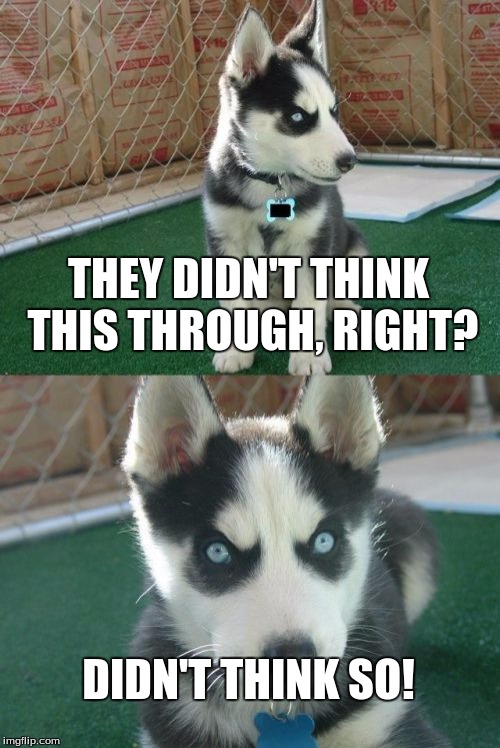 Insanity Puppy | THEY DIDN'T THINK THIS THROUGH, RIGHT? DIDN'T THINK SO! | image tagged in memes,insanity puppy | made w/ Imgflip meme maker
