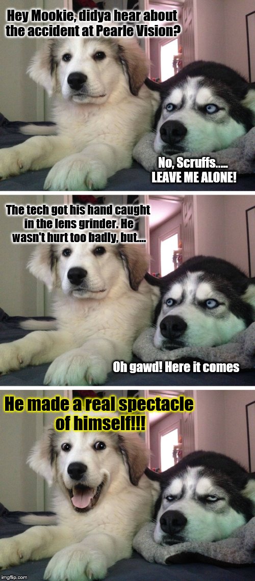 Bad pun dogs | Hey Mookie, didya hear about the accident at Pearle Vision? No, Scruffs..... LEAVE ME ALONE! The tech got his hand caught in the lens grinder. He wasn't hurt too badly, but.... Oh gawd! Here it comes; He made a real spectacle of himself!!! | image tagged in bad pun dogs | made w/ Imgflip meme maker