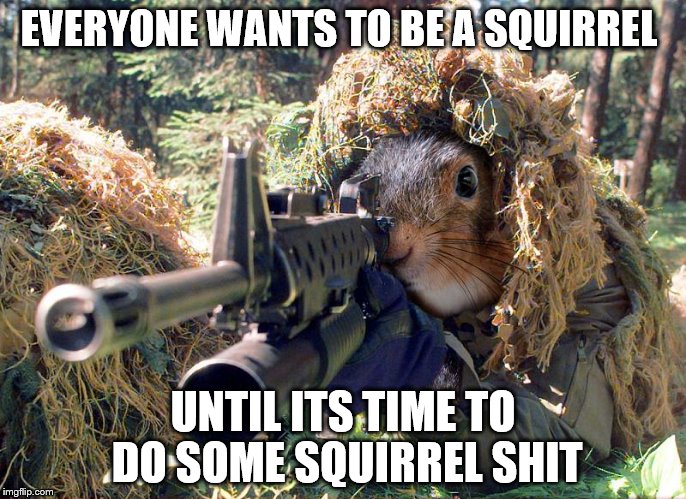 EVERYONE WANTS TO BE A SQUIRREL; UNTIL ITS TIME TO DO SOME SQUIRREL SHIT | image tagged in squirrel | made w/ Imgflip meme maker
