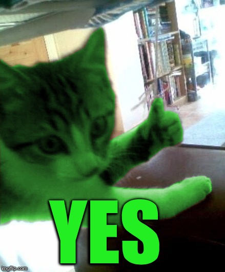 thumbs up RayCat | YES | image tagged in thumbs up raycat | made w/ Imgflip meme maker