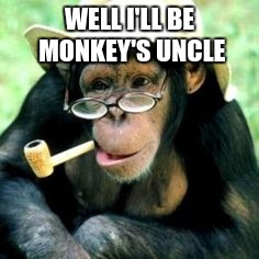 WELL I'LL BE MONKEY'S UNCLE | made w/ Imgflip meme maker