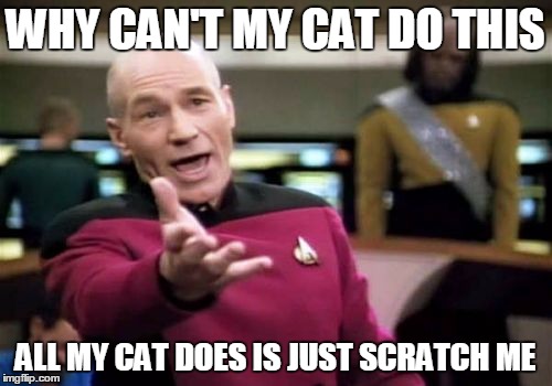 Picard Wtf Meme | WHY CAN'T MY CAT DO THIS ALL MY CAT DOES IS JUST SCRATCH ME | image tagged in memes,picard wtf | made w/ Imgflip meme maker