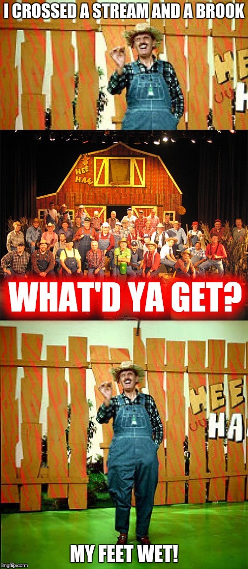 Hee haw I crossed a x with an x |  I CROSSED A STREAM AND A BROOK; MY FEET WET! | image tagged in hee haw i crossed a x with an x | made w/ Imgflip meme maker