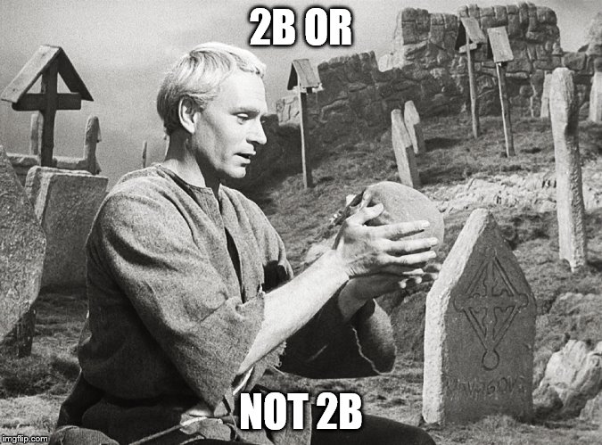 Hamlet | 2B OR NOT 2B | image tagged in hamlet | made w/ Imgflip meme maker