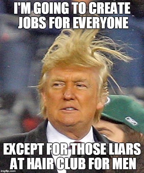 Donald Trumph hair | I'M GOING TO CREATE JOBS FOR EVERYONE; EXCEPT FOR THOSE LIARS AT HAIR CLUB FOR MEN | image tagged in donald trumph hair | made w/ Imgflip meme maker