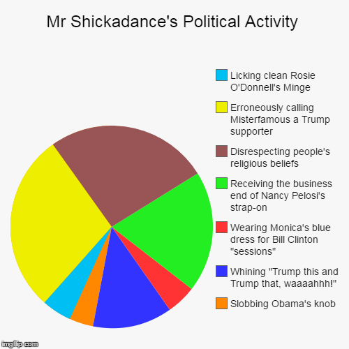 Mr Shickadance's Political Activity | Slobbing Obama's knob, Whining "Trump this and Trump that, waaaahhh!", Wearing Monica's blue dress for | image tagged in funny,pie charts | made w/ Imgflip chart maker