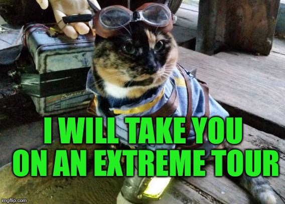 Fallout RayCat | I WILL TAKE YOU ON AN EXTREME TOUR | image tagged in fallout raycat | made w/ Imgflip meme maker