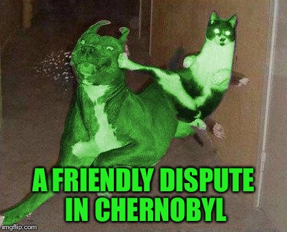 RayCat kicking RayDog | A FRIENDLY DISPUTE IN CHERNOBYL | image tagged in raycat kicking raydog | made w/ Imgflip meme maker