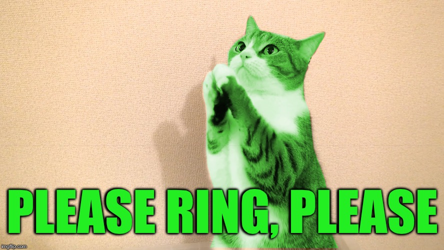 RayCat Pray | PLEASE RING, PLEASE | image tagged in raycat pray | made w/ Imgflip meme maker