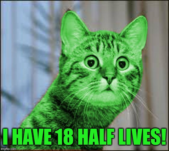 RayCat WTF | I HAVE 18 HALF LIVES! | image tagged in raycat wtf | made w/ Imgflip meme maker