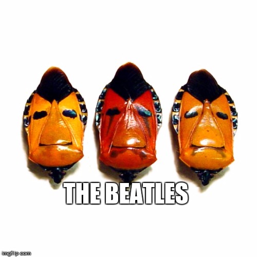 the beatles | THE BEATLES | image tagged in the beatles | made w/ Imgflip meme maker