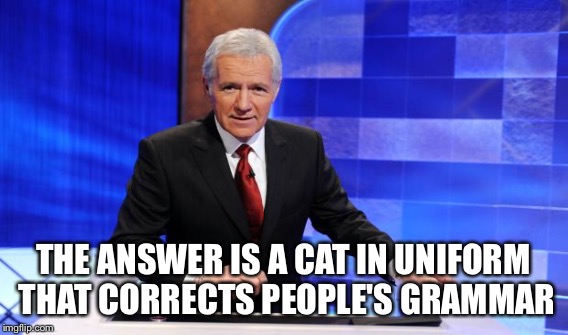 THE ANSWER IS A CAT IN UNIFORM THAT CORRECTS PEOPLE'S GRAMMAR | made w/ Imgflip meme maker