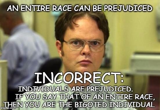 Dwight Schrute Meme | AN ENTIRE RACE CAN BE PREJUDICED; INCORRECT:; INDIVIDUALS ARE PREJUDICED.       
 IF YOU SAY THAT OF AN ENTIRE RACE, THEN YOU ARE THE BIGOTED INDIVIDUAL | image tagged in memes,dwight schrute | made w/ Imgflip meme maker