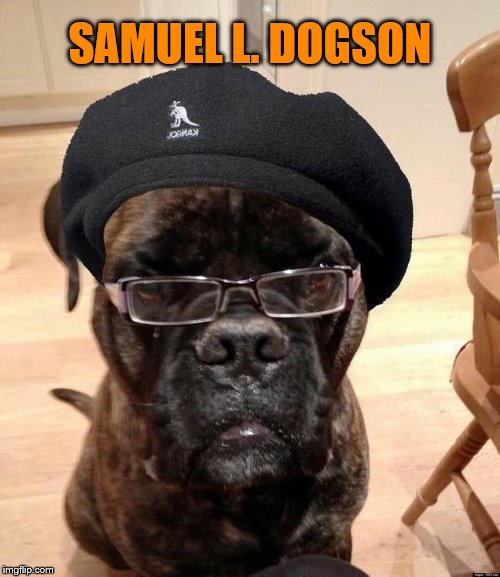 Samuel L Jackson Samuel L Dogson | SAMUEL L. DOGSON | image tagged in samuel l jackson,memes,samuel l dogson,funny memes,funny dog pics | made w/ Imgflip meme maker