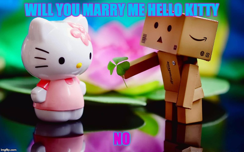 will you marry me hello kitty | WILL YOU MARRY ME HELLO KITTY; NO | image tagged in hello kitty,lonely box man | made w/ Imgflip meme maker